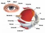 Tim mạch - Nội tiết - Máu - Những bệnh lý liên quan đến mắt không thể chủ quan